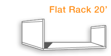 Flat Rack 20' Cargo Container
